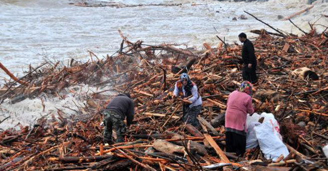 'Kıyıya Hamsi Değil Odun Vurdu!'