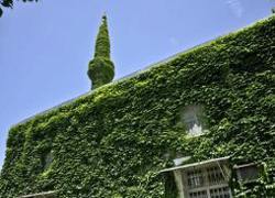 Yemyeşil cami
