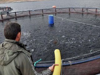 'Kayseri'nin Denizi'nden Avrupa Sofralarına