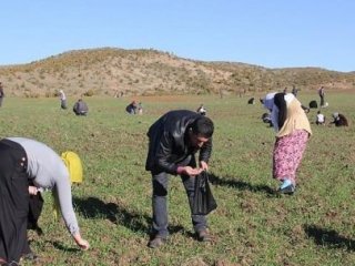 Bingöl'ün 'taş' zenginlerine şok!