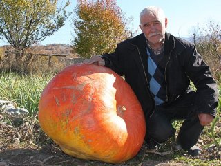 Görenleri Şaşkına Çeviriyor!