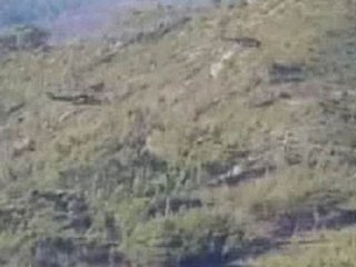 Düşen Uçak Aranıyor