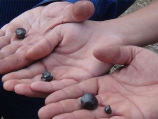 Şimdi Zekat Tartışması Başladı