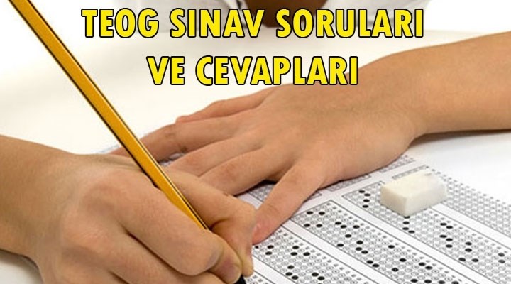 TEOG İngilizce soruları cevapları // MEB TEog sorulaarı