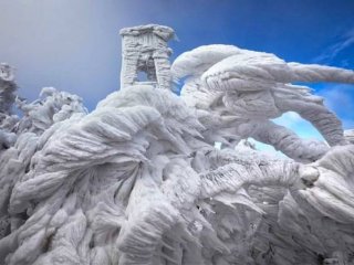 Dünyanın En Etkileyici Fotoğrafları