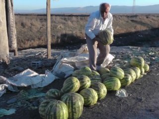 Kışlık Karpuzun Fiyatı Cep Yakıyor