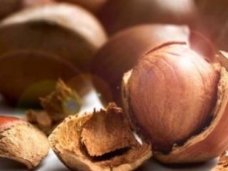 Rusya krizi fındık fiyatlarını da vurdu