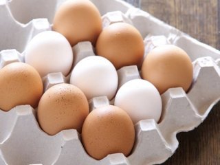 Beyaz ve Kahverengi Yumurta Arasındaki Fark Nedir?