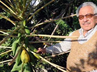 Meraklı Çiftçi Papaya Yetiştirdi