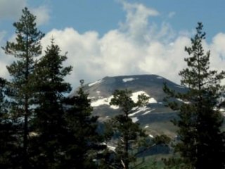 Yılbaşı İçin Ağaç Kesenlere Ağır Ceza!