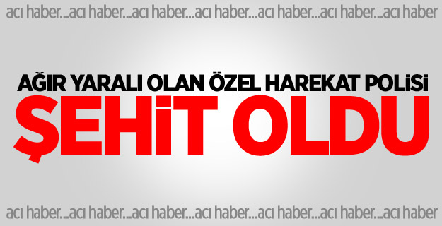 Ağır yaralı olan özel harekat polisi şehit oldu