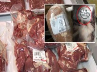 Helal Damgalı Mikrop Yuvası