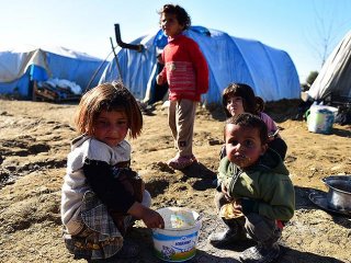 Isınmak İçin Odun Topluyorlar