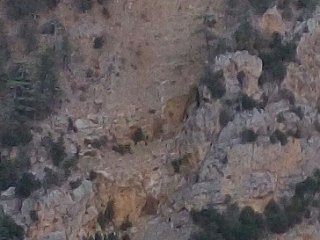 Kamyonetle Uçurumdan Atlayarak İntihar Etti