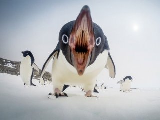 2015'in En Güzel Fotoğrafları