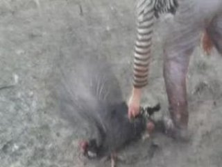 Hindi Pazarında Vahşet!