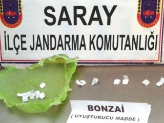 Saray’da Jandarmadan Uyuşturucu Operasyonu