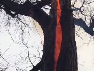 Dünyayı Dehşete Düşüren Görüntü!