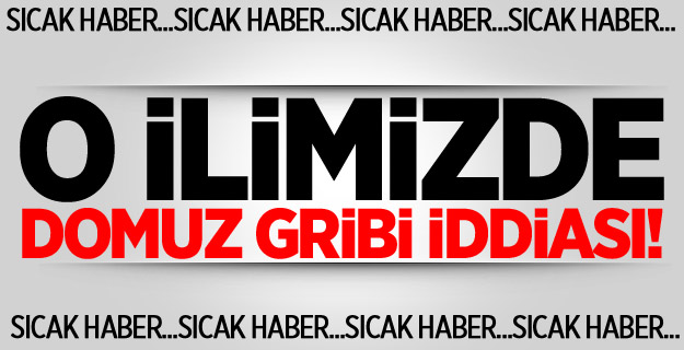 Adana’da domuz gribi iddiası