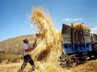 Umreyi Duyan Çiftçi Odaya Koşuyor