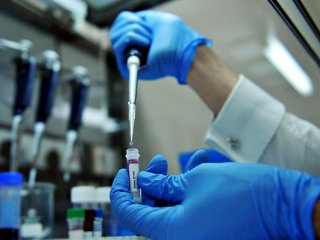 Adana'da 2 vatandaş domuz gribinden öldü