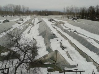 Tarımsal Üretimde Doğal Afet Zararı