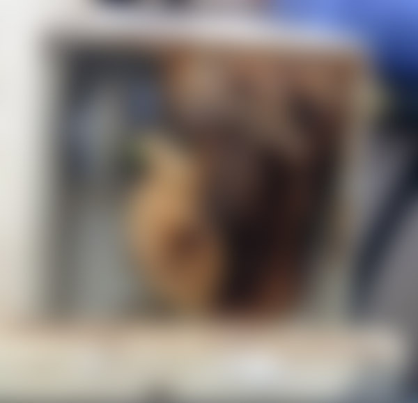 Doğalgaz Kutusundan Çıktı! Paylaştılar