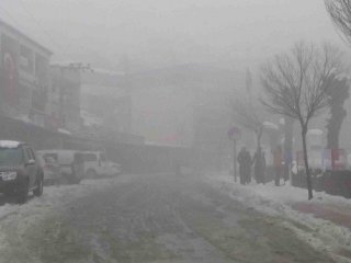 Sis Hayatı Olumsuz Etkiledi