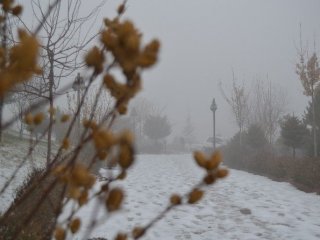 Sis Kartpostallık Görüntüler Oluşturdu