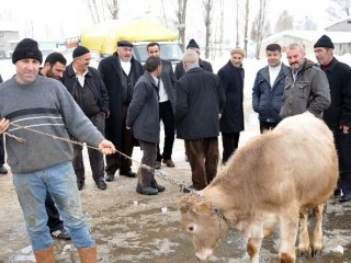 Sanatçının Pazarda Ekmek Kavgası