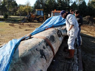 İskenderun'da Karay Vurdu!