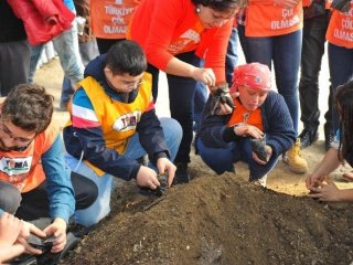 Down Sendromlu Çocuklar Tohum Ekti