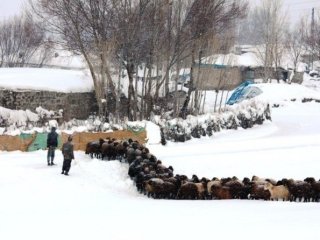 Kar Besiciler İçin Çile Oldu