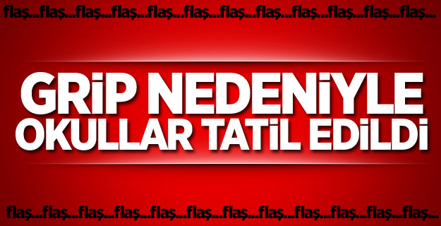 Bir ilde grip nedeniyle okullar tatil edildi