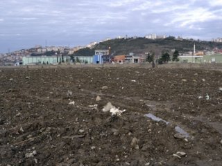 20 dönümlük çöplük, çilek bahçesi olacak