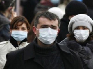 Domuz Gribi ve Aşı Oyunu!