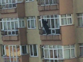 14. katta ölümüne temizlik