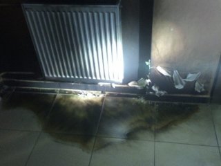 Hainleri Kadınlar Engelledi