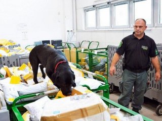 Postayla 16 Kilo Esrar Getirdi
