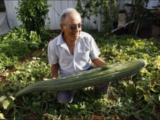 Görenler Şaşıp Kaldı