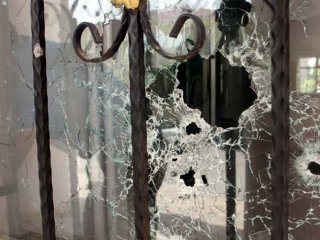 Köpekler Okula Saldırdı