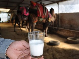Litresi 50 Liradan Yok Satıyor