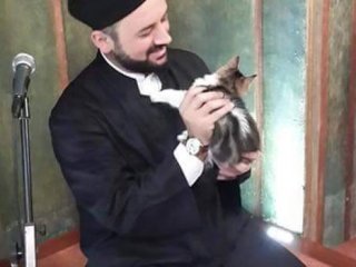 Camide Kedi Beslenir Mi?