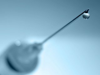 Milas'ta domuz gribi şüphesi