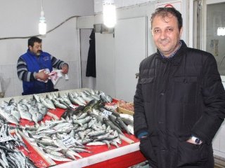 Sardalye Bolluğu Pazara Vurdu