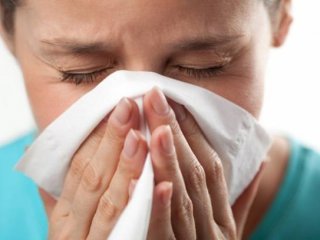 Gripsavar Yiyecekler