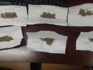 Bonzai Baskını: 16,21 Gr.