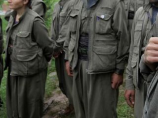 İki İlçede 22 Terörist Öldürüldü