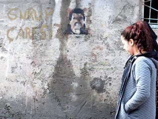 600’ün Üzerinde Patlayıcı İmha Edildi