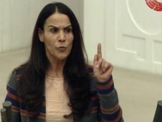 HDP'li Vekil Askerin Davranışından Rahatsız Oldu